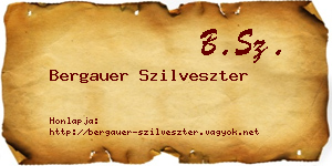 Bergauer Szilveszter névjegykártya